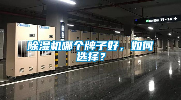除濕機哪個牌子好，如何選擇？