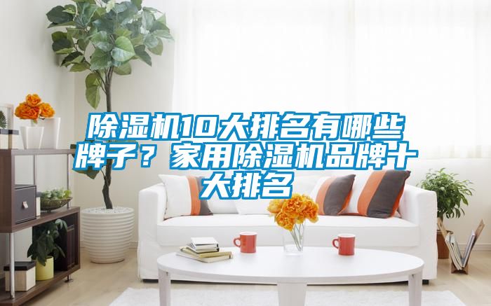 除濕機10大排名有哪些牌子？家用除濕機品牌十大排名