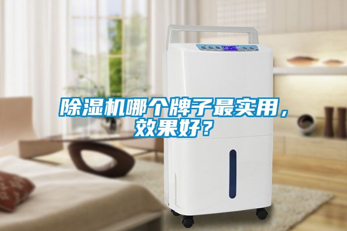 除濕機哪個牌子最實用，效果好？