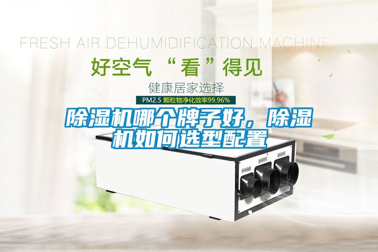 除濕機哪個牌子好，除濕機如何選型配置
