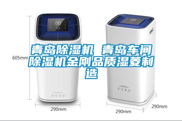青島除濕機 青島車間除濕機金剛品質(zhì)濕菱制造