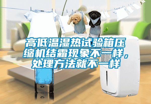 高低溫濕熱試驗(yàn)箱壓縮機(jī)結(jié)霜現(xiàn)象不一樣，處理方法就不一樣