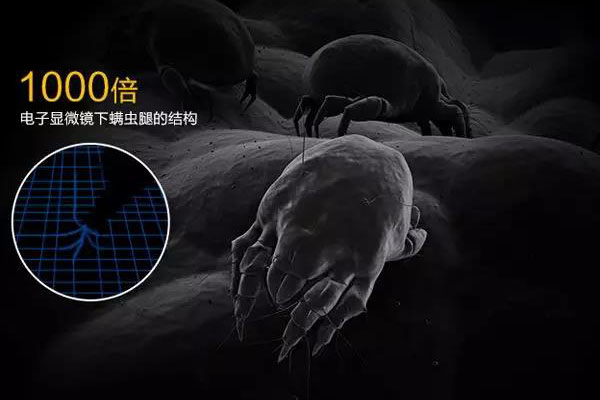 螨蟲(chóng)高發(fā)季，家用除濕機(jī)除螨有妙計(jì)！